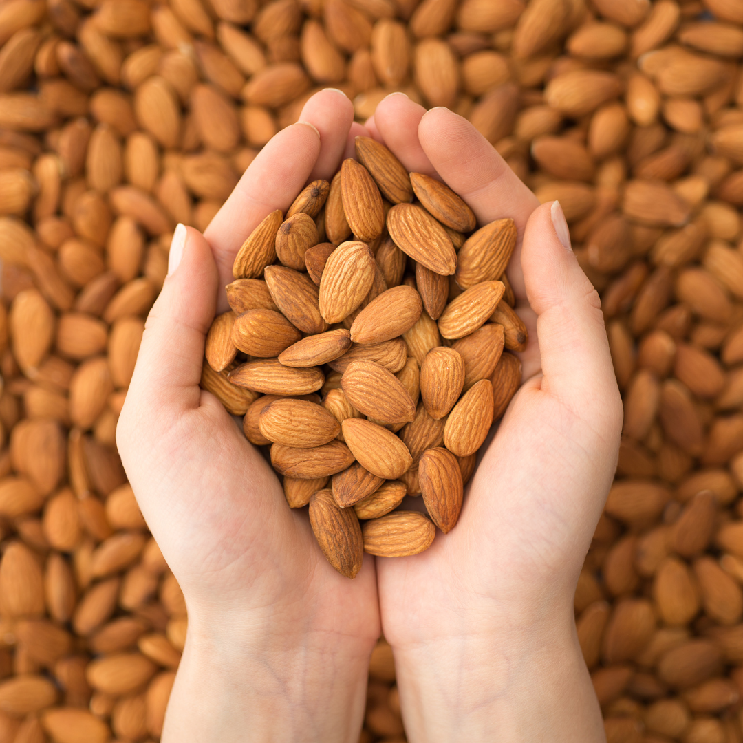 "Premium American Almonds available at the best almonds price in Pakistan, offered by Al Madni Trader."
