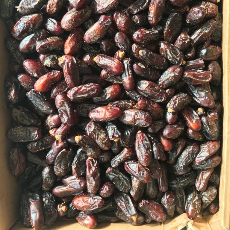 Rabbi Special Dates in a container, showing their premium quality and natural sheen