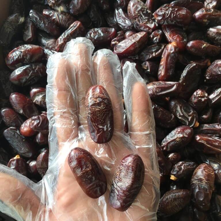 Handful of Rabbi Special Dates with a shiny, moist surface